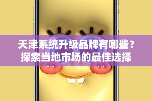 天津系统升级品牌有哪些？探索当地市场的最佳选择