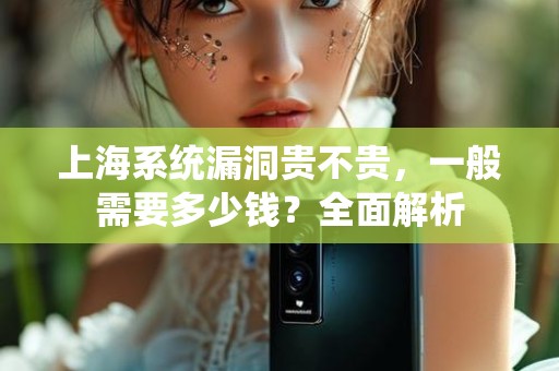 上海系统漏洞贵不贵，一般需要多少钱？全面解析