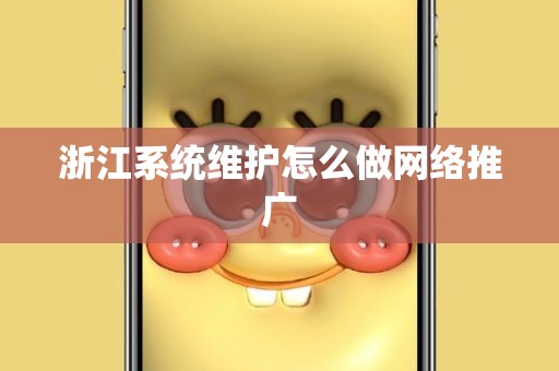 浙江系统维护怎么做网络推广