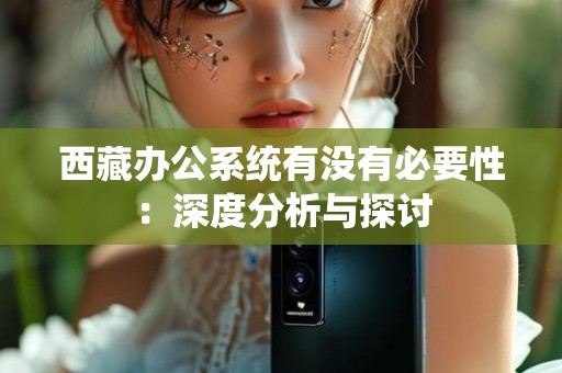 西藏办公系统有没有必要性：深度分析与探讨