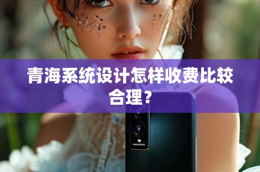 青海系统设计怎样收费比较合理？
