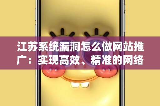 江苏系统漏洞怎么做网站推广：实现高效、精准的网络营销