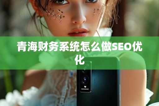 青海财务系统怎么做SEO优化