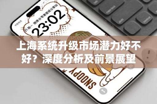 上海系统升级市场潜力好不好？深度分析及前景展望