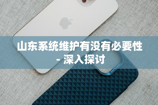 山东系统维护有没有必要性 - 深入探讨