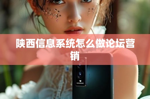陕西信息系统怎么做论坛营销