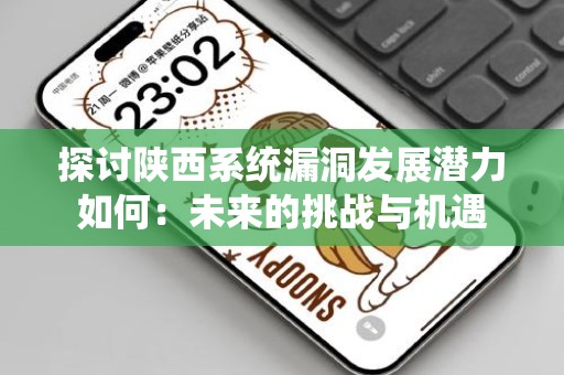 探讨陕西系统漏洞发展潜力如何：未来的挑战与机遇