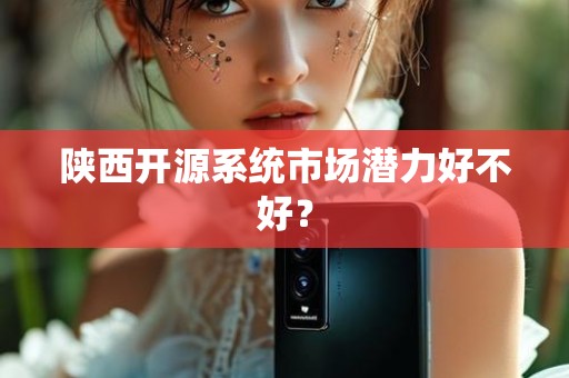 陕西开源系统市场潜力好不好？