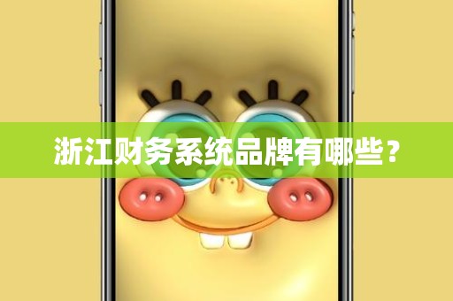 浙江财务系统品牌有哪些？