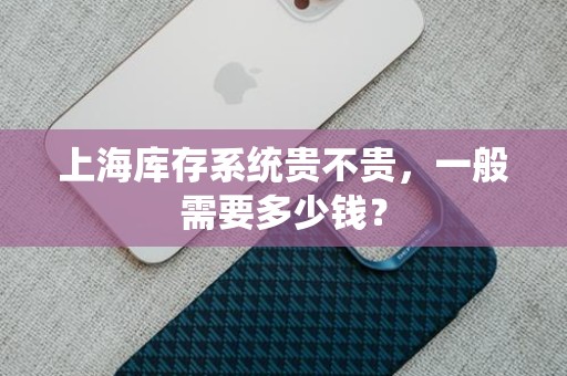 上海库存系统贵不贵，一般需要多少钱？