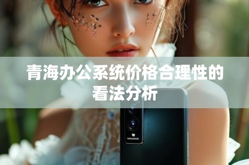 青海办公系统价格合理性的看法分析