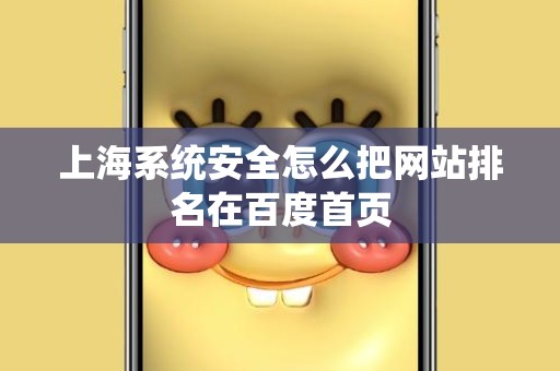 上海系统安全怎么把网站排名在百度首页