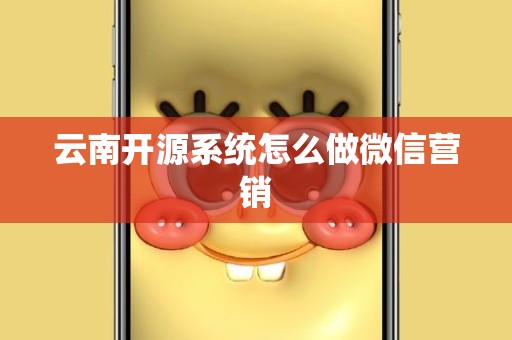 云南开源系统怎么做微信营销