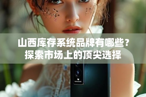 山西库存系统品牌有哪些？探索市场上的顶尖选择