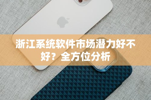 浙江系统软件市场潜力好不好？全方位分析