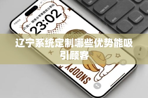 辽宁系统定制哪些优势能吸引顾客