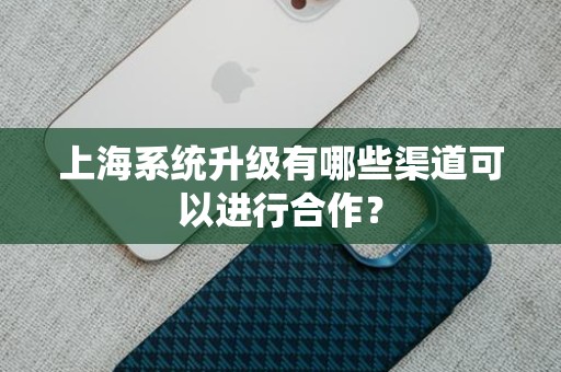 上海系统升级有哪些渠道可以进行合作？