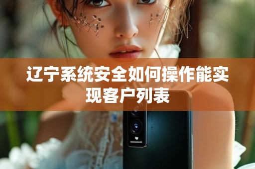 辽宁系统安全如何操作能实现客户列表