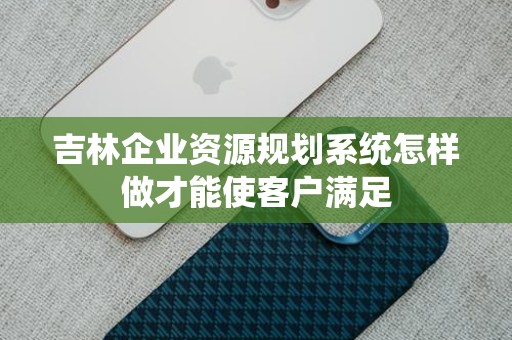 吉林企业资源规划系统怎样做才能使客户满足