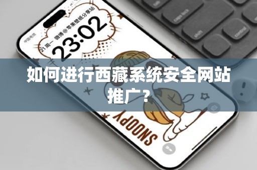 如何进行西藏系统安全网站推广？