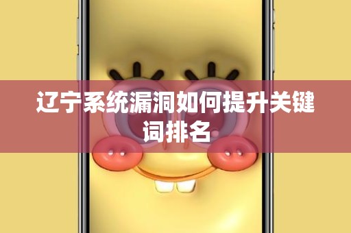 辽宁系统漏洞如何提升关键词排名