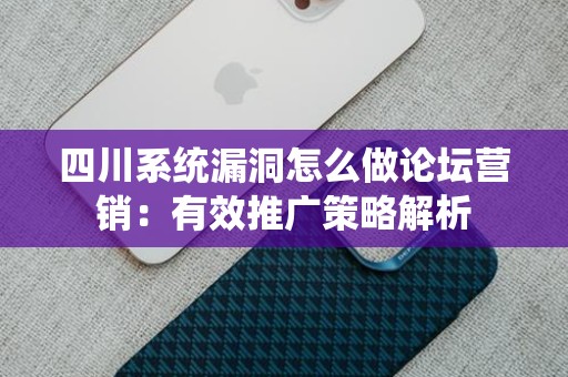 四川系统漏洞怎么做论坛营销：有效推广策略解析
