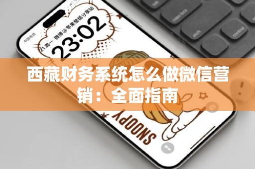 西藏财务系统怎么做微信营销：全面指南