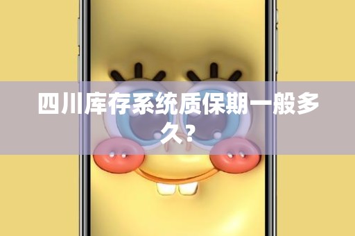 四川库存系统质保期一般多久？