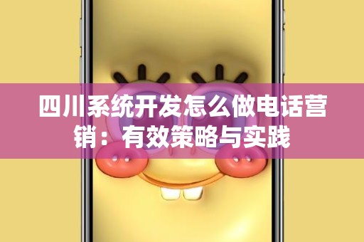 四川系统开发怎么做电话营销：有效策略与实践