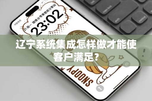 辽宁系统集成怎样做才能使客户满足？