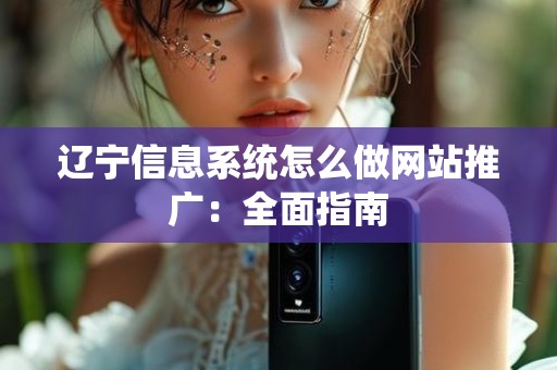 辽宁信息系统怎么做网站推广：全面指南