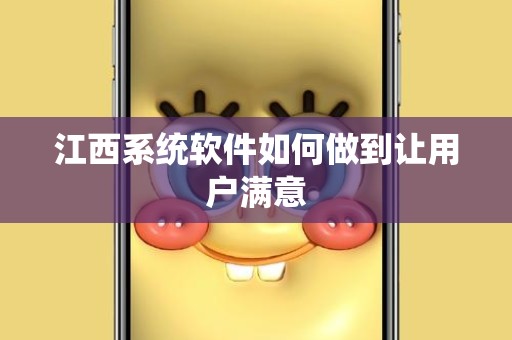 江西系统软件如何做到让用户满意