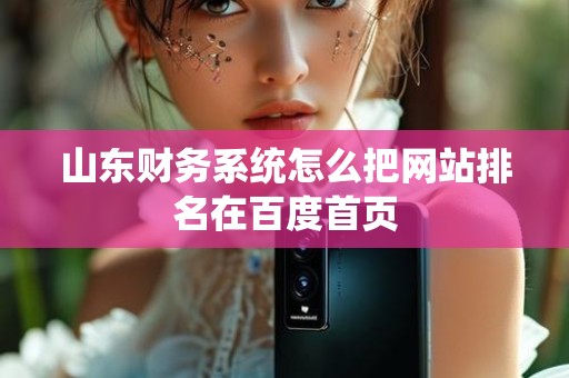 山东财务系统怎么把网站排名在百度首页