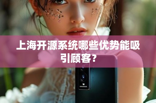 上海开源系统哪些优势能吸引顾客？
