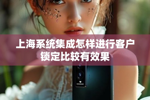 上海系统集成怎样进行客户锁定比较有效果