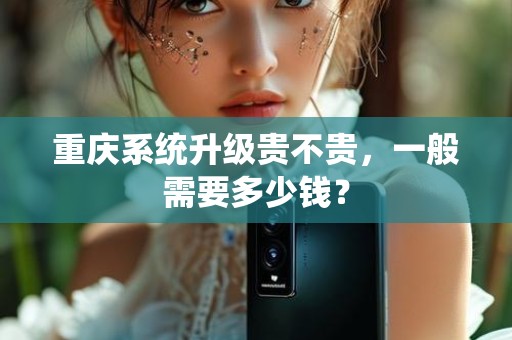 重庆系统升级贵不贵，一般需要多少钱？