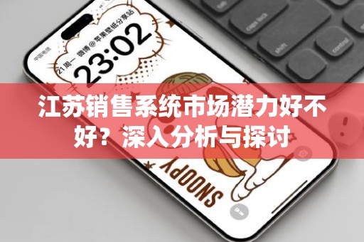 江苏销售系统市场潜力好不好？深入分析与探讨