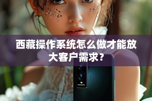 西藏操作系统怎么做才能放大客户需求？
