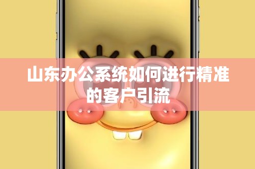 山东办公系统如何进行精准的客户引流