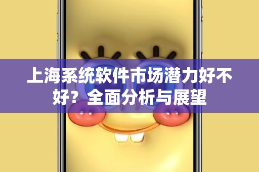 上海系统软件市场潜力好不好？全面分析与展望