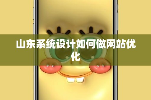 山东系统设计如何做网站优化