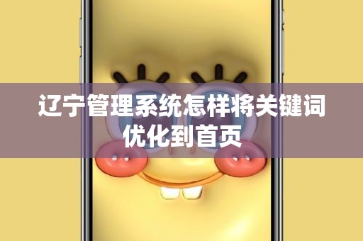 辽宁管理系统怎样将关键词优化到首页