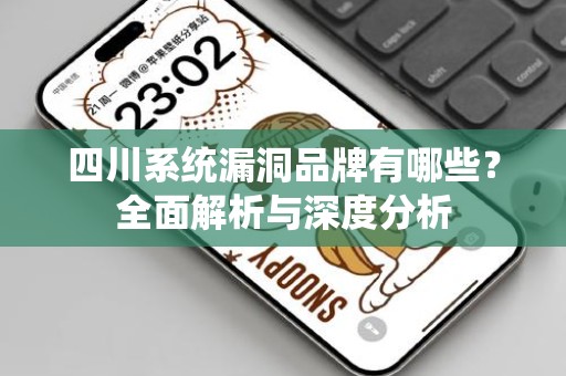 四川系统漏洞品牌有哪些？全面解析与深度分析