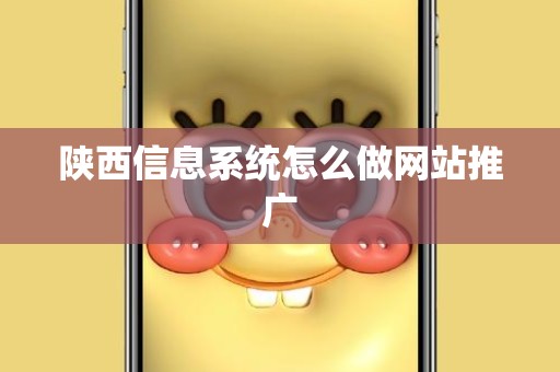 陕西信息系统怎么做网站推广