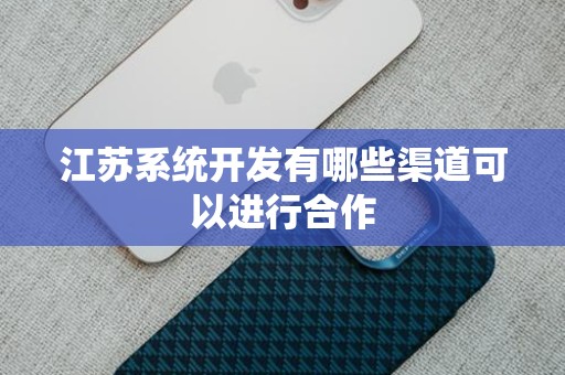 江苏系统开发有哪些渠道可以进行合作