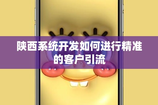 陕西系统开发如何进行精准的客户引流