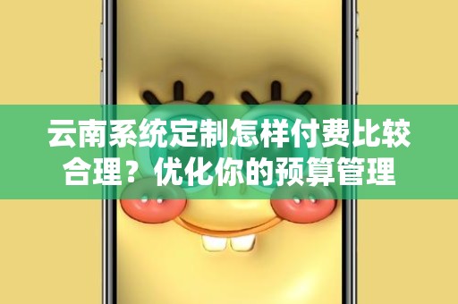 云南系统定制怎样付费比较合理？优化你的预算管理