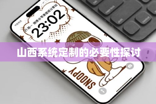 山西系统定制的必要性探讨