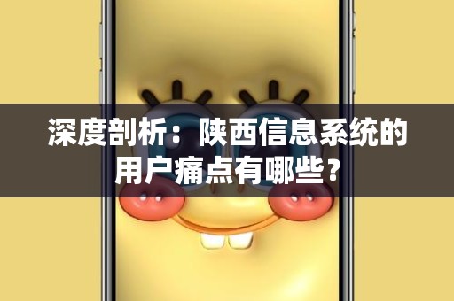 深度剖析：陕西信息系统的用户痛点有哪些？