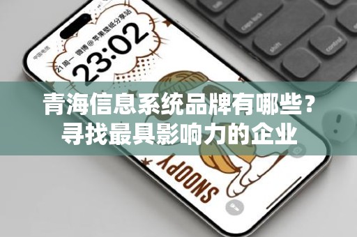青海信息系统品牌有哪些？寻找最具影响力的企业